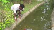 抽象！甲亢哥对着水沟里的乌龟竟然大喊&ldquo;姆巴佩！&rdquo;